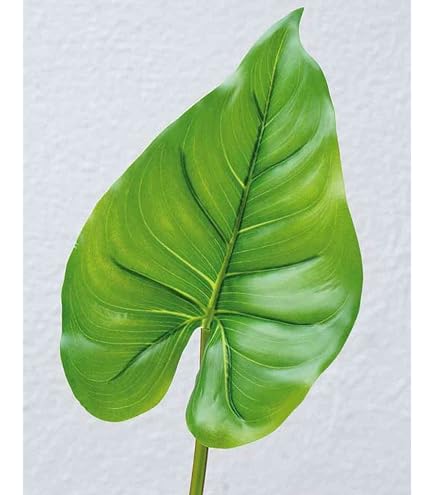Anthurium Jambo Red Vaso 17cm - Arredo Verde Shop