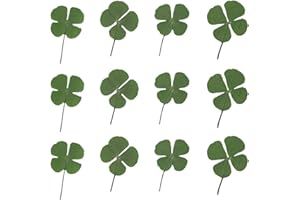 Clyhon 24 Stück getrocknete Blumen, natürlich, gepresst, Kleeblatt, vierblättriges Kleeblatt, für Kunsthandwerk, Schmuckherstellung, aus Kunstharz