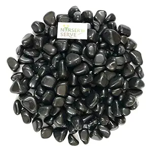 NurseryServe Granite Pebbles Decorative Stones Gravels for Aquarium, Plants, Pots, Vase Fillers, Home Decor, Table, Garden and Lawn - (Black, 2kg)