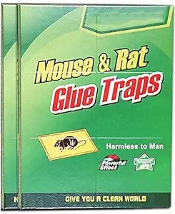 Trexee Rat and Mouse Trap Rat Glue Mouse Insect Rodent Lizard Trap Rat Catcher Adhesive Sticky Glue Rat Pad Mouse Glue Pack of 2 Live Trap