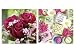 Produktbild PAPER + DESIGN Lunchservietten Design Bouquet de roses