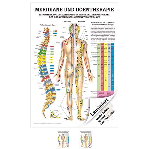 Meridiane U Dorn Mini Poster Anatomie 34x24 Cm Medizinische
