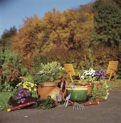 WOLF-Garten multi-star® Alu-Kurzstiel ZM 04; 3944840 - 2