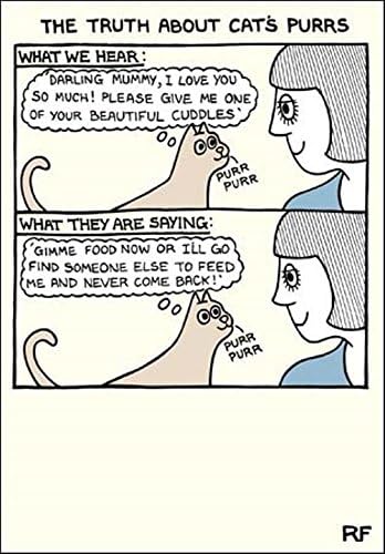 Truth About Cat Purrs Cartoon Cat Humour Greeting Card On The Prowl Cards