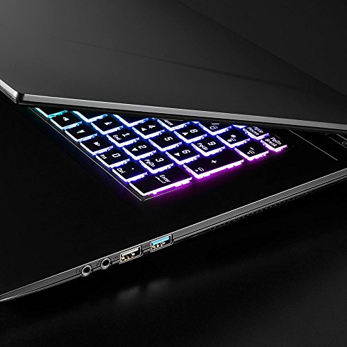 GIGABYTE SABRE17G 17 3-Inch FHD IPS LCD Notebook -  Black   Intel i7-8750H Processor  8 GB RAM  8 GB HDD  4 GB NVIDIA GeForce GTX 1050 GDDR5 Graphics 