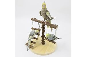 GOVNPJ Parque de Juegos para Pájaros Gimnasio para Aves Stand Área de Juego con Soporte Perchas Columpio Escalera para Agapornis Periquitos Loros, Perchas para Pájaros 22x22x21.5 CM