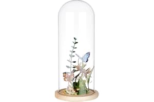 BENECREAT 11,7 x 30 cm evigt transparent blomglasskydd, cloche-burk i glas med blank mandel massiv träbas för gör-det-själv b