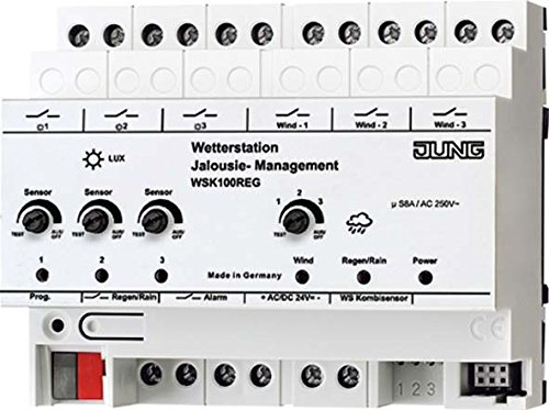 Preisvergleich Produktbild Jung Wetterstation WSK100REG