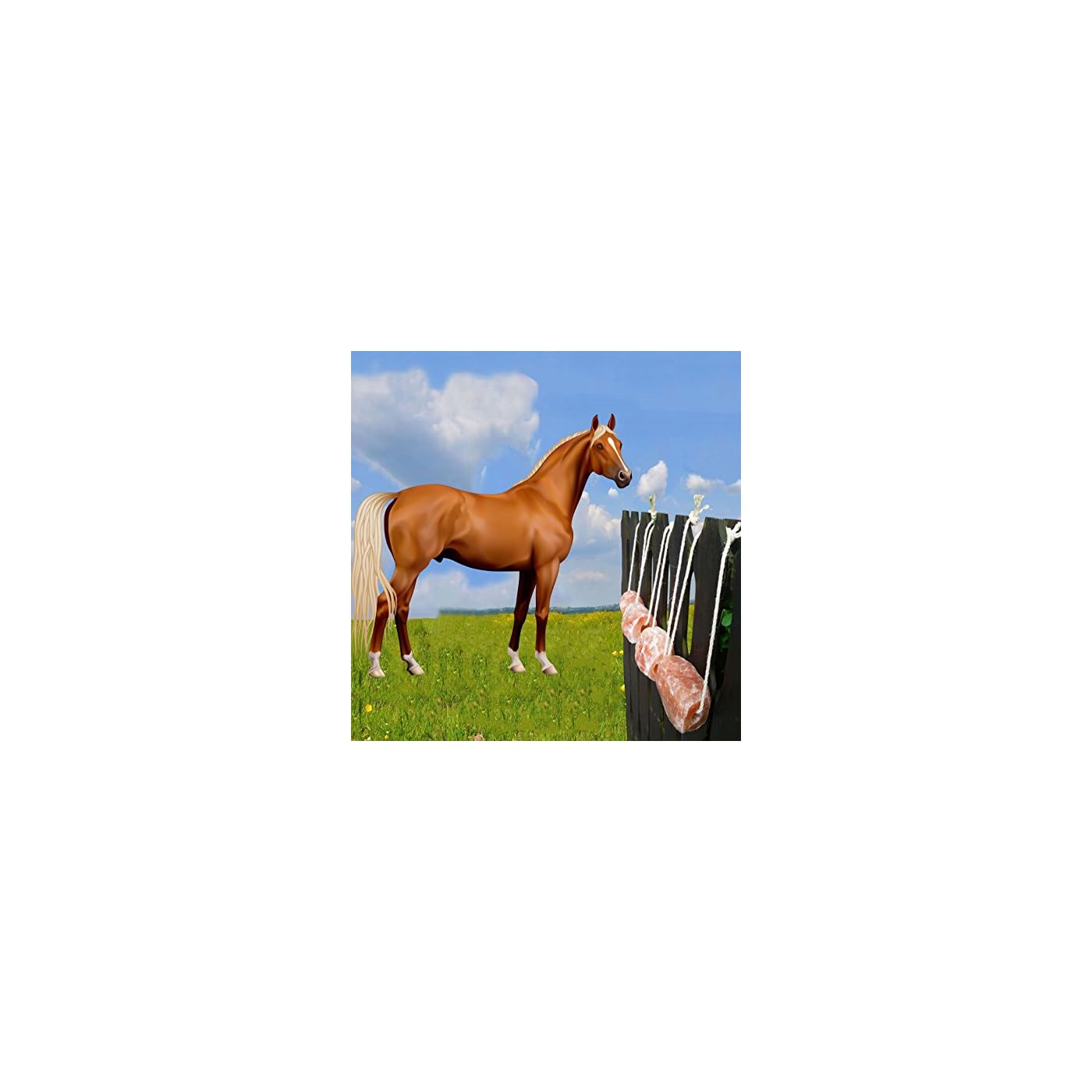 Horse ‘n’ Pony