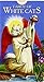 Tarot of White Cats by 