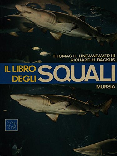 Il libro degli squali