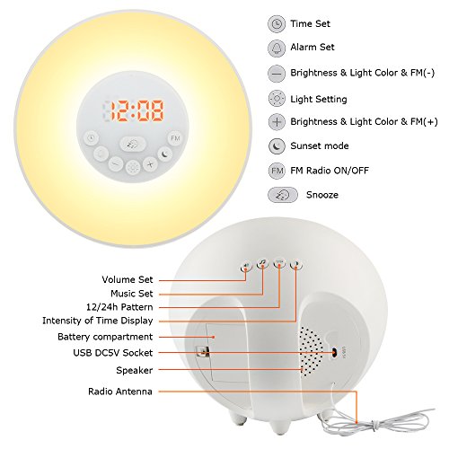 Beawelle D02 Wake-Up Light mit Sonnenaufgangsfunktion in 10 Farbstufen inkl. digitalem FM Radio, 6 natürlichen Wecktöne, 7 Farben - 3