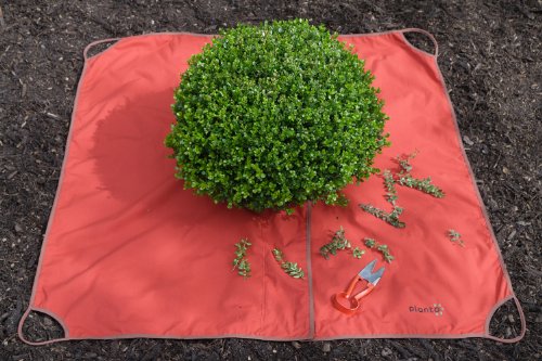 BUCHSBAUM -FORMS CHNITT-TUCH 90005 - 2