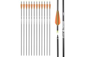 ELONG OUTDOOR Flèches de Chasse en Carbone avec Pointes Amovibles de 100 Grains pour tir à l'arc composé et Classique et tir à l'arc Traditionnel (Lot de 6/12)