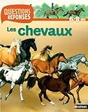 N01 - CHEVAUX