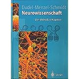 Ebook Neurowissenschaft vom molekul zur kognition springer lehrbuch