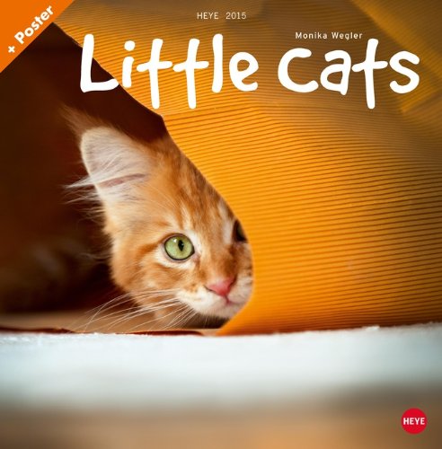 Wegler: Little Cats Broschur 2015
