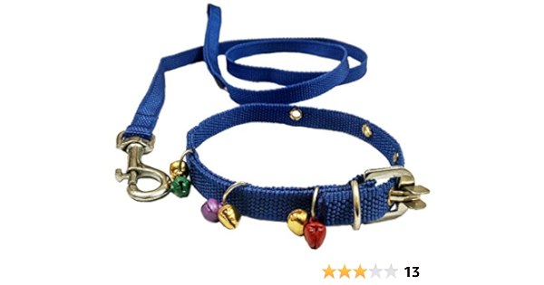 puppy belt amazon