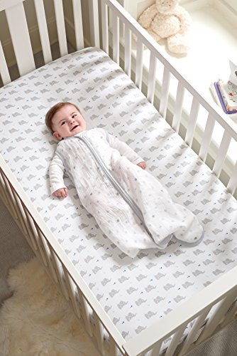 aden by aden + anais 1.0 Tog Sommer Schlafsack – Dove (0–6 Monate) - 2