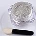 *FREE SHIPPING* ZaraLyn® 5g MERMAID Nail Glitter Powders Gradient Shimmer Powder Laser Nail Art Decoration