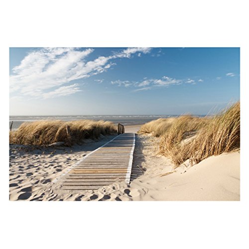 Vliestapete Premium – Ostsee Strand – Fototapete Breit Vlies Tapete Wandtapete Wandbild Foto 3D Fototapete, Größe HxB: 190cm x 288cm - 6