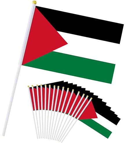 Photos Drapeaux Palestiniens, 65 000 Photos De Haute Qualité Gratuites