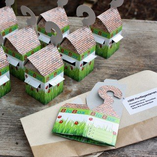 1000 Stück Florfliegenlarven in Buchweizen + 15 BioBoxen zum aufhängen - Biologische Schädlingsbekämpfung