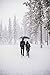 Blunt Umbrellas Mens Black Classic Umbrella From Debenhams One Size