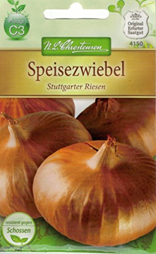 Chrestensen Speisezwiebel 'Stuttgarter Riesen'