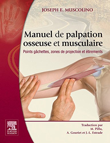 Download Manuel de palpation osseuse et musculaire: Points gâchettes, zones de projection et étirements Download Manuel de palpation osseuse et musculaire: Points gâchettes, zones de projection et étirements