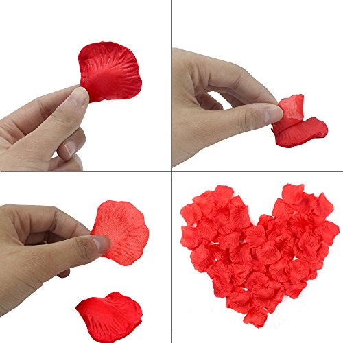 Coceca 1000 Stück Rosenblüten, Rosenblätter, Blumenblätter aus Seide, Kunstblumen für Hochzeit Feier Deko, Valentinstag romatische Überraschung - 5