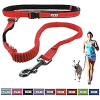 [Gesponsert]Pawtitas Reflektierende, gepolsterte, Antischock-Outdoor-Trainingsleine zum freihändigen Laufen mit dem Hund Rot farbe