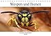 Produktbild Faszination Makrofotografie: Wespen und Bienen (Tischkalender 2019 DIN A5 quer): Wunderschöne Makroaufnahmen von Bienen und Wespen (Monatskalender, 14 Seiten ) (CALVENDO Tiere)