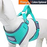 ThinkPet Atmungsaktives Hundegeschirr aus Weichem Air Mesh Gewebe, reflektierend, Klein, Neon-Grün