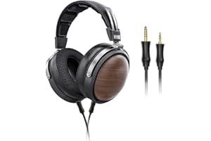 FiiO FT1 32Ω große dynamische Treiber-Kopfhörer mit Massivholzschalen