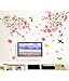 Decals Design 