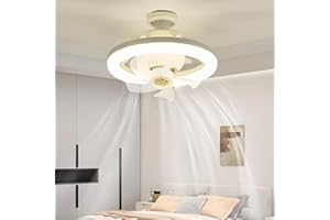RuiDay Ceiling Fans with Lights, 48W Ceiling Lights with Fan Quiet Stepless Ceiling Lighting Fan with Timer, 3 Color 3 Speed Dimming, Ceiling Fan Flush Mount for Living Room, Children Room, Bedroom