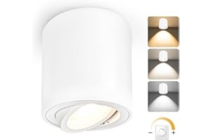 YindaLux Faretti LED Soffitto Dimmerabile, 5W Faretto da Parete Orientabile, Contiene Modulo LED 230V, Alluminio Lampada da Soffitto Downlight, Moderno Bianco Rotondo Faretto Interno 1PCS