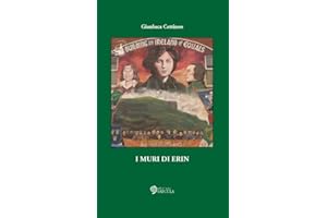 I muri di Erin. Ediz. illustrata