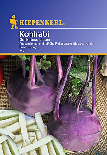 Sperli 417 Gemüsesamen Kohlrabi Delikateß, blau/grün