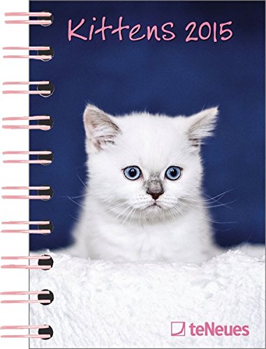 Kittens 2015