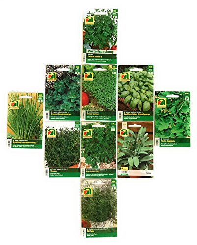 Premium Kräuter Saatgut Sortiment – 10 Sorten – über 60000 Kräutersamen – Vorteilspackung – inklusive praktischem Aufbewahrungskarton - 6
