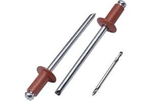 SKIR'CO (100 piezas) Remaches ciegos pintados 3,2 x 8 mm, remaches de aluminio, broca incluida (cobre marrón RAL 8004)