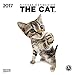 The Cat 2017: Broschürenkalender mit Ferienterminen by 