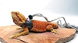 Diese Ogle Lizard Leine ist ein echter Klassiker unter den bärtigen Drachen und andere Eidechse Tierbesitzer. Sie werden von OgleRPets hier in den USA Ogle Lizard Leinen sind sehr geeignet für Bartagamen, Geckos, kleinen Tejus, kleine Monitore und kleine Leguane von Hand hergestellt.