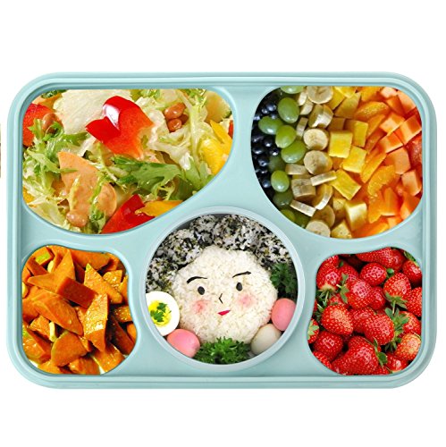 Bestland Bento Box Mikrowelle und Spülmaschinenfest Lunch Box mit mit 5 + 1 Getrennt Containers (Blau) - 2