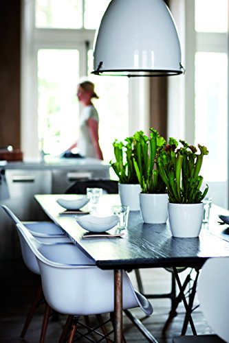 elho Brussels Diamond Rund Blumentopf 20cm – Weiss - 3