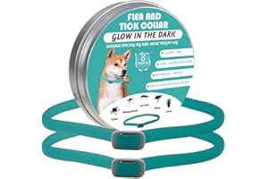 BKEPDY Zeckenhalsband für Hunde Leuchtendes Präventionshalsband gegen Parasiten auf Jede Größe verstellbar 2 STK Einstellbares Floh und Zeckenschutz mit bis zu 8-Monatigen Schutz (Green)