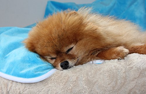 Glenndarcy-Waterproof-Luxury-Minkie-Blankets-for-Incontinent-Dogs-Wet-Dogs-in-Cars-Furniture-Cover