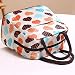 Koly Portable insulated Picnic Lunch Bag Tote Zipper Organizer Lunch Storages